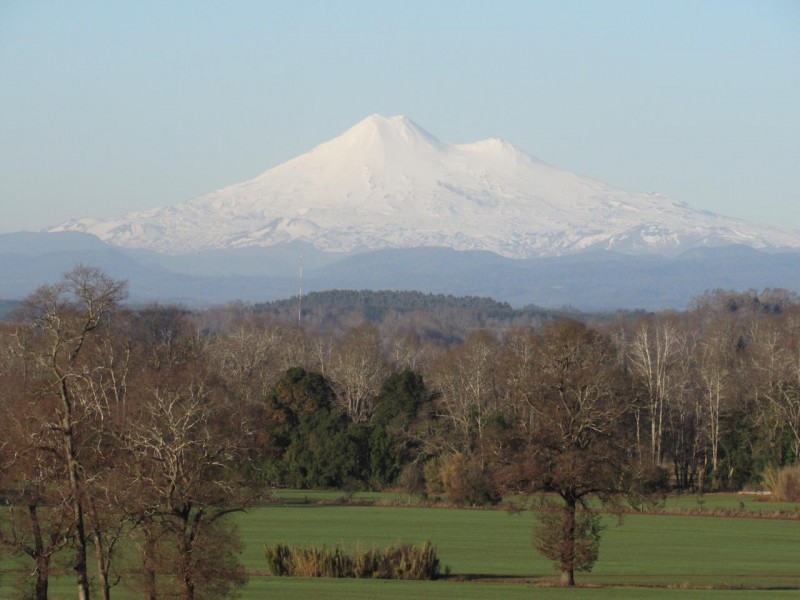 Parcela 5000 M2