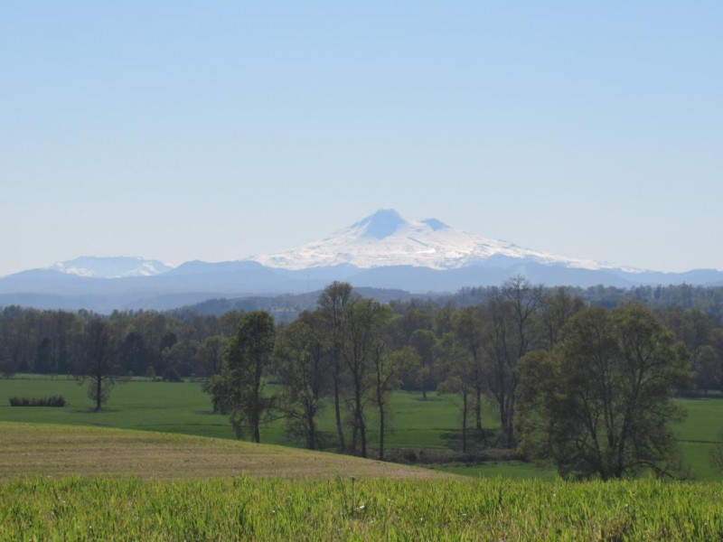 Parcela 5000 M2