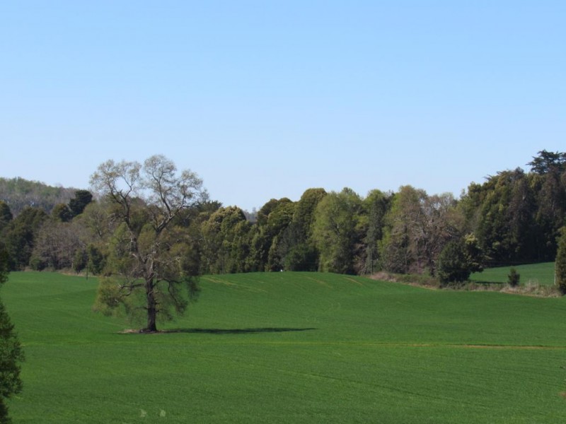 Parcela 5000 M2