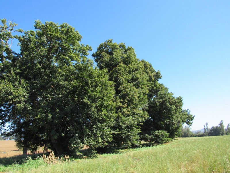 Parcela 5000 M2