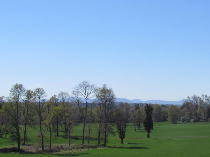 Parcela 5000 M2