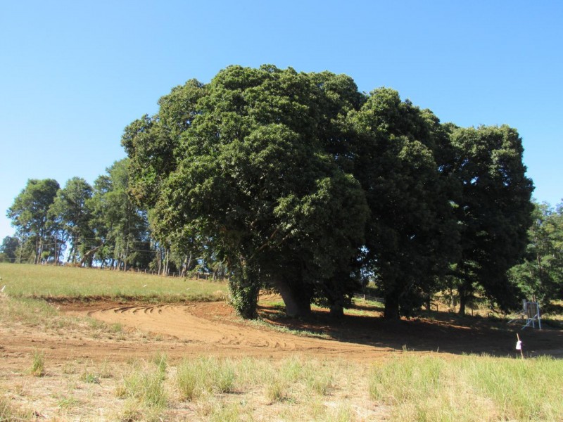 Parcela 5000 M2