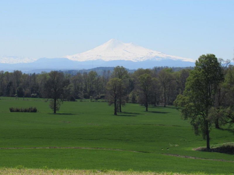 Parcela 5000 M2