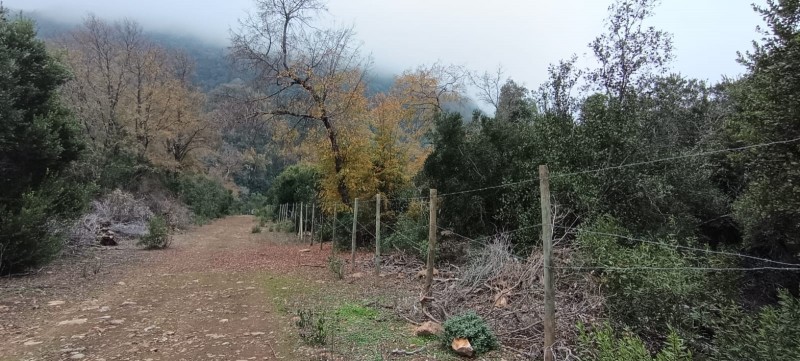 Se Vende Parcela en Malcho Parral
