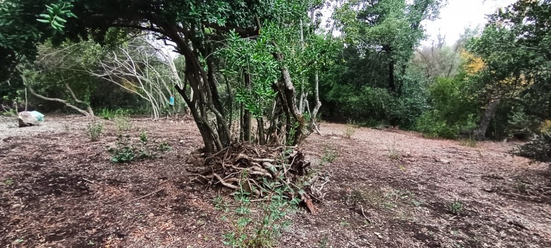 Se Vende Parcela en Malcho Parral