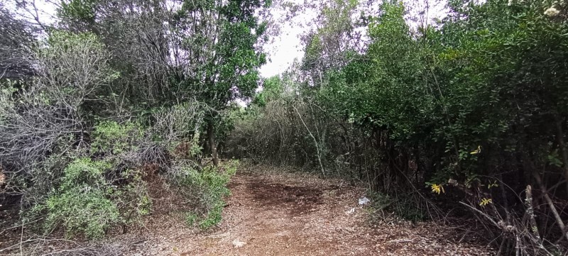 Se Vende Parcela en Malcho Parral