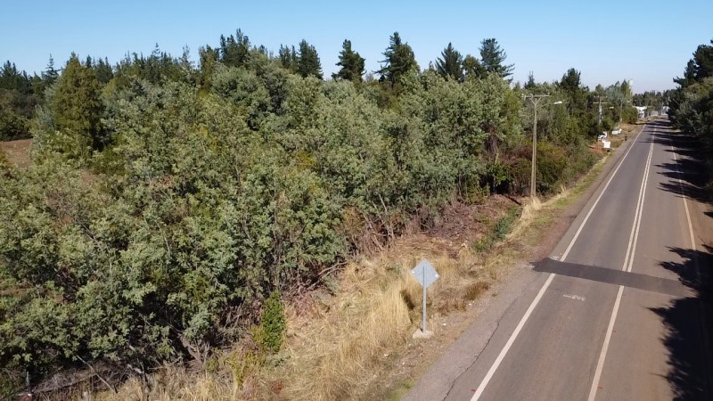 Se Vende Parcela 3.3 Hectareas en Parral San Alejo