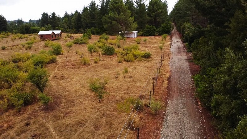 1 Hectarea en Parral Sect. Lomas de Machicura
