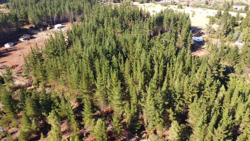 Se Vende Parcela de 1 Hectarea Factbilidad Luz y Agua Potabl