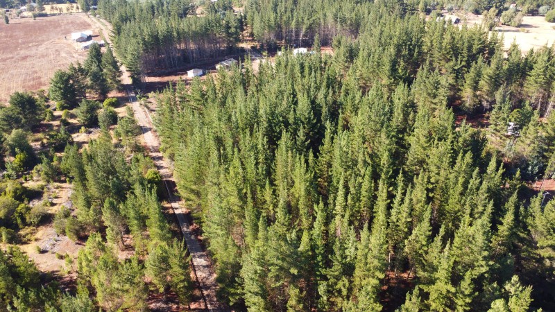 Se Vende Parcela de 1 Hectarea Factbilidad Luz y Agua Potabl