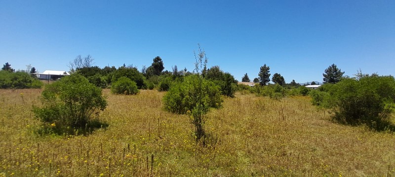 Se Vende Parcela en Parral Sector Lomas de Machicura