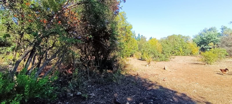 Se Vende Parcela 3.3 Hectareas en Parral San Alejo