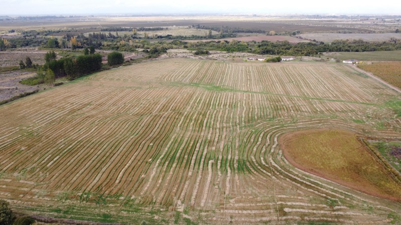 Se Arrienda Terreno de 20 Hectáreas Ideal para Talaje
