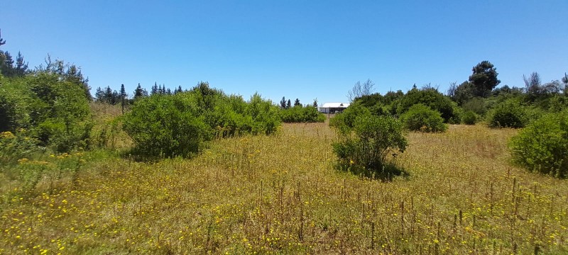 Se Vende Parcela en Parral Sector Lomas de Machicura