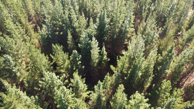 Se Vende Parcela de 1 Hectarea Factbilidad Luz y Agua Potabl