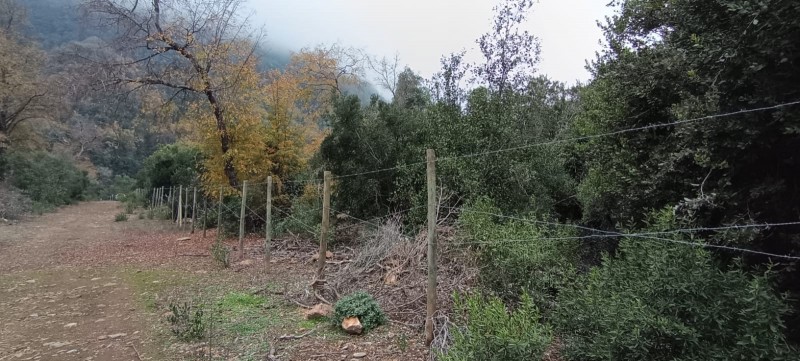 Se Vende Parcela en Malcho Parral