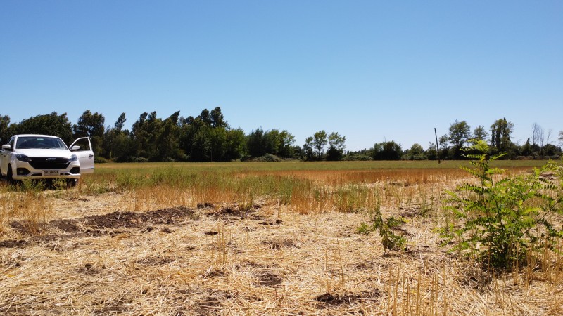 Se Vende Terreno en San Gregorio Sector Colvindo