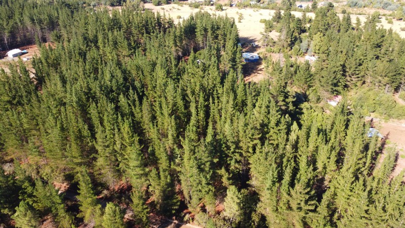 Se Vende Parcela de 1 Hectarea Factbilidad Luz y Agua Potabl