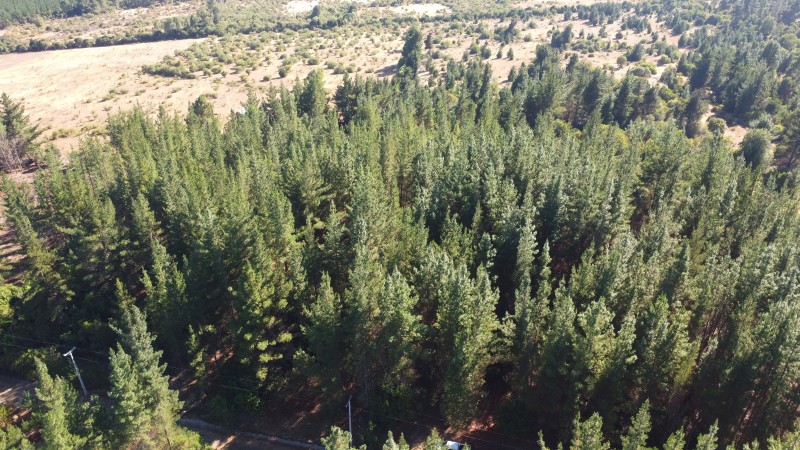 Se Vende Parcela de 1 Hectarea Factbilidad Luz y Agua Potabl