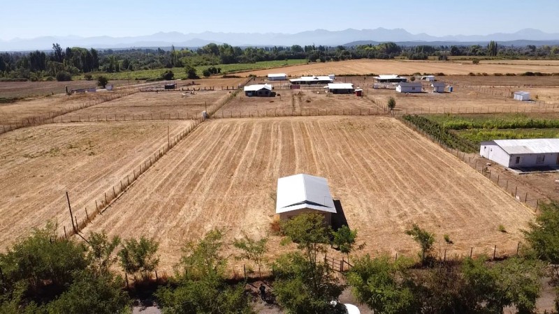 Terreno Con Casa en San Gregorio