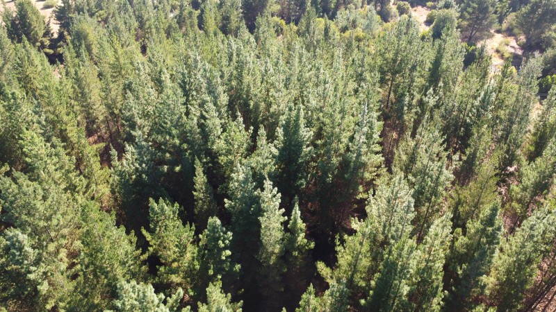 Se Vende Parcela de 1 Hectarea Factbilidad Luz y Agua Potabl