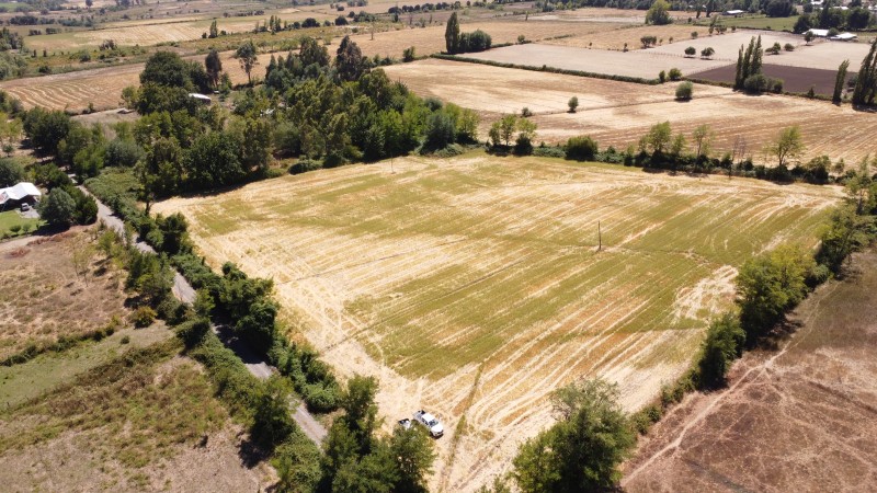 Se Vende Terreno en San Gregorio Sector Colvindo