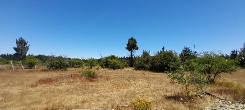 Se Vende Parcela en Parral Sector Lomas de Machicura