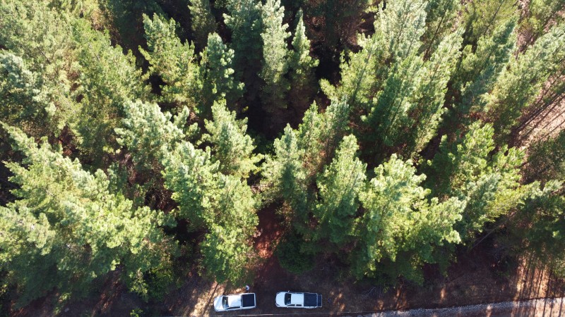 Se Vende Parcela de 1 Hectarea Factbilidad Luz y Agua Potabl