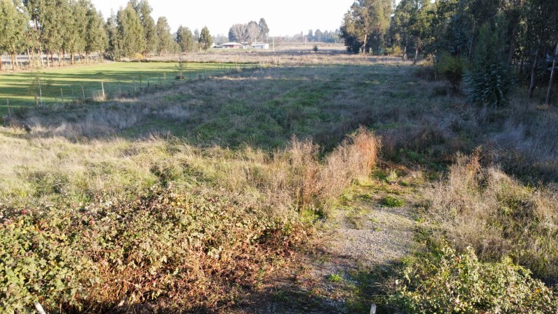 Se Vende Parcela en Villa Reina Parral A 9.9 Km
