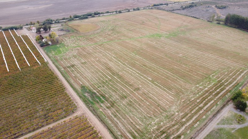 Se Arrienda Terreno de 20 Hectáreas Ideal para Talaje