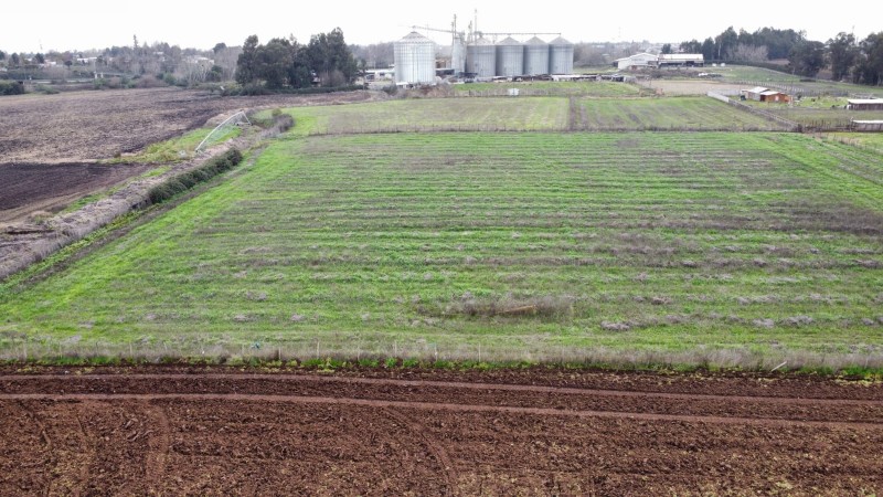 Terreno en Parral Frente A la Rotonda Principal