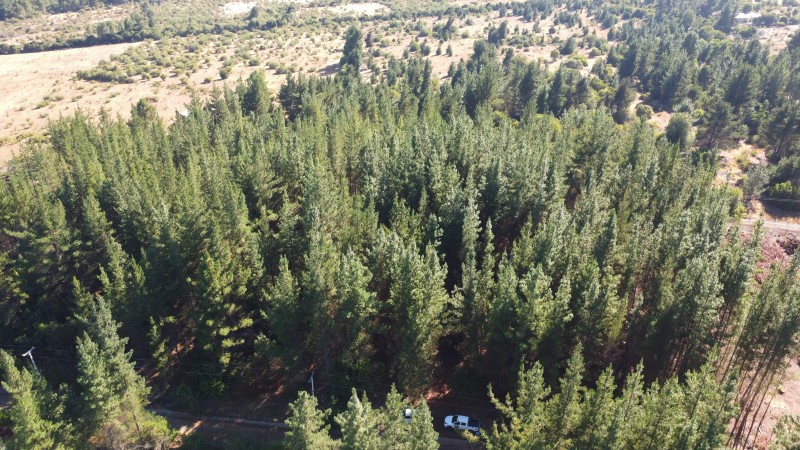 Se Vende Parcela de 1 Hectarea Factbilidad Luz y Agua Potabl