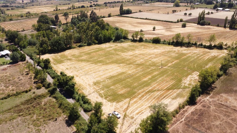 Se Vende Terreno en San Gregorio Sector Colvindo