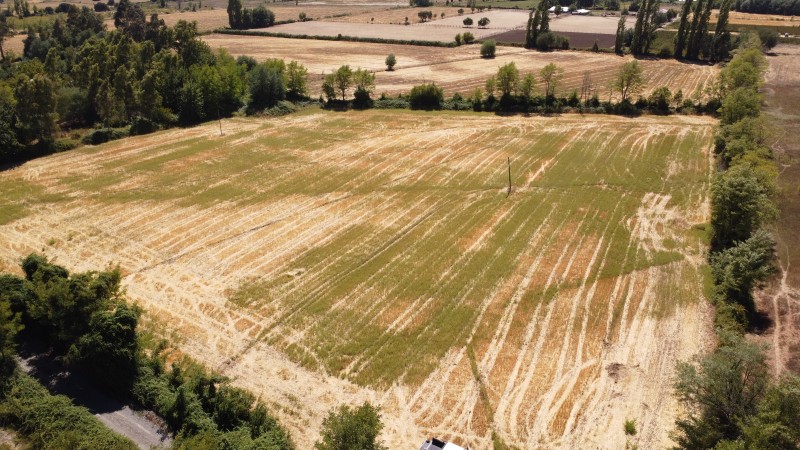 Se Vende Terreno en San Gregorio Sector Colvindo