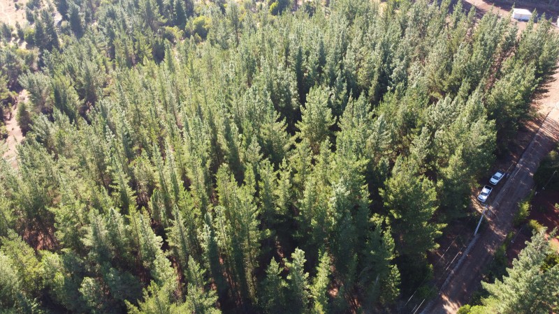 Se Vende Parcela de 1 Hectarea Factbilidad Luz y Agua Potabl