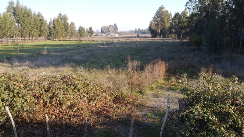 Se Vende Parcela en Villa Reina Parral A 9.9 Km