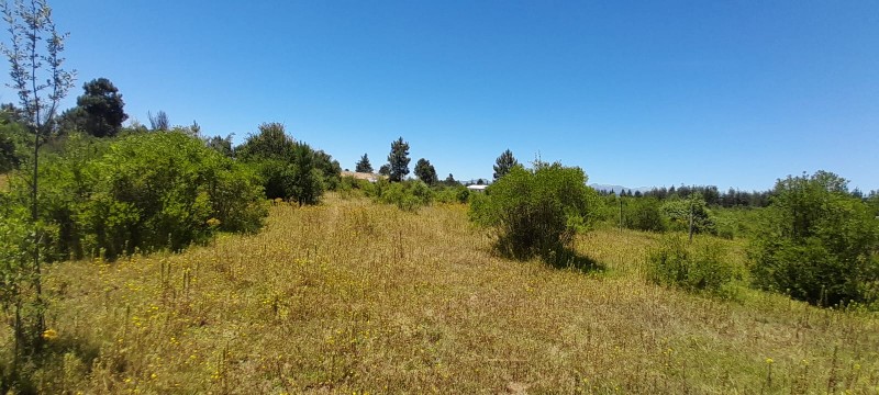 Se Vende Parcela en Parral Sector Lomas de Machicura