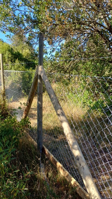 Parral Lomas de San Alberto Casa Por Terminar