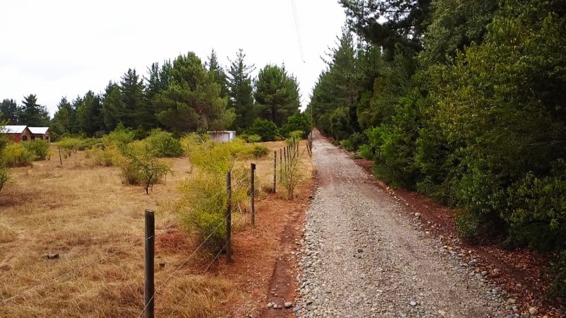 1 Hectarea en Parral Sect. Lomas de Machicura