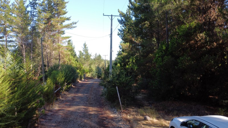 Se Vende Parcela de 1 Hectarea Factbilidad Luz y Agua Potabl