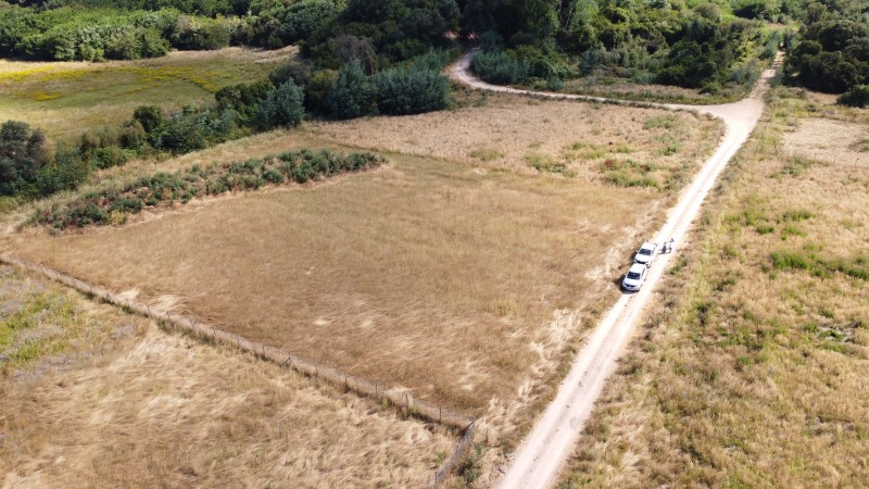 Parcela en Parral Sector Pantanillo A 17 Km de la Ciudad