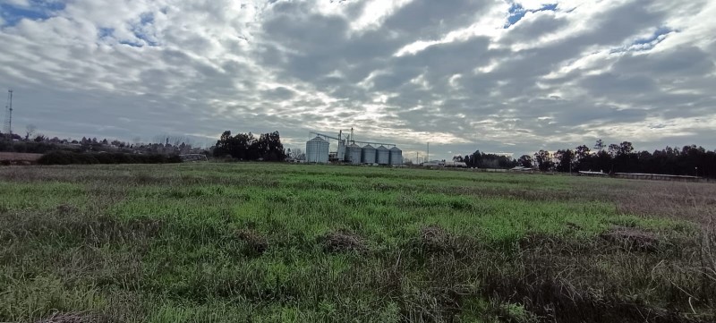 Terreno en Parral Frente A la Rotonda Principal