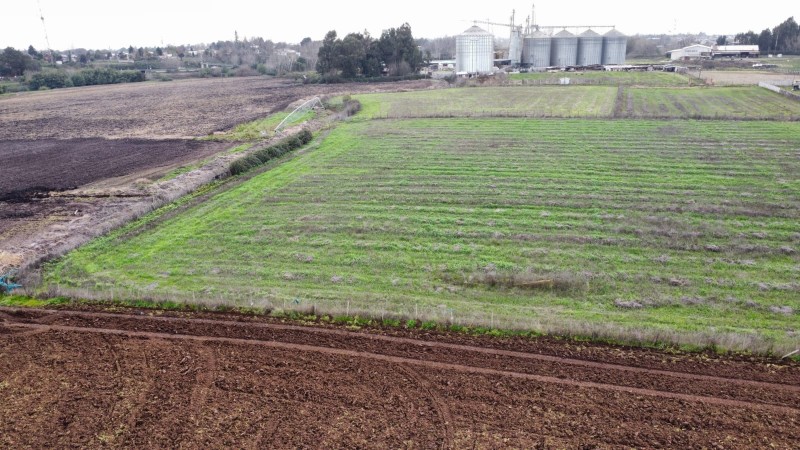 Terreno en Parral Frente A la Rotonda Principal