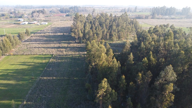 Se Vende Parcela en Villa Reina Parral A 9.9 Km