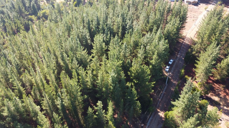 Se Vende Parcela de 1 Hectarea Factbilidad Luz y Agua Potabl