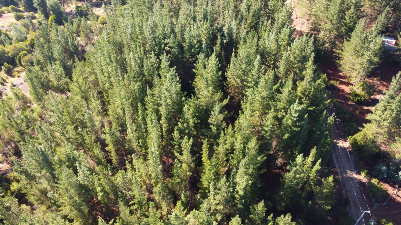 Se Vende Parcela de 1 Hectarea Factbilidad Luz y Agua Potabl