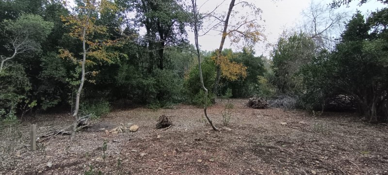 Se Vende Parcela en Malcho Parral