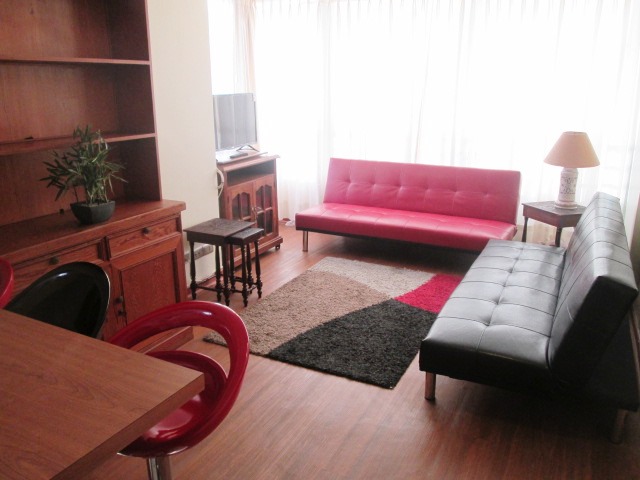 Arriendo Depto Año Corrido Amoblado 1D-1B Centro Viña