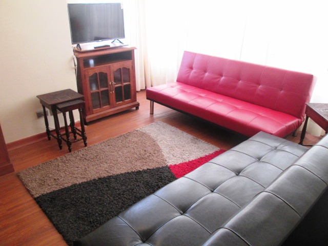Arriendo Depto Año Corrido Amoblado 1D-1B Centro Viña