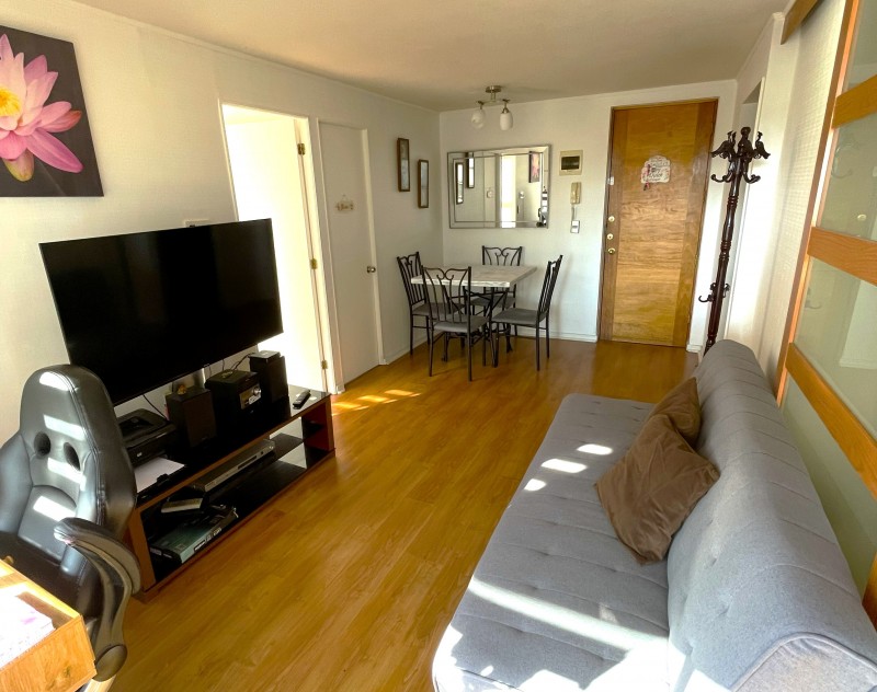 Arriendo Diario A Pasos Casino Viña 2D-2B-1 Estacionamiento